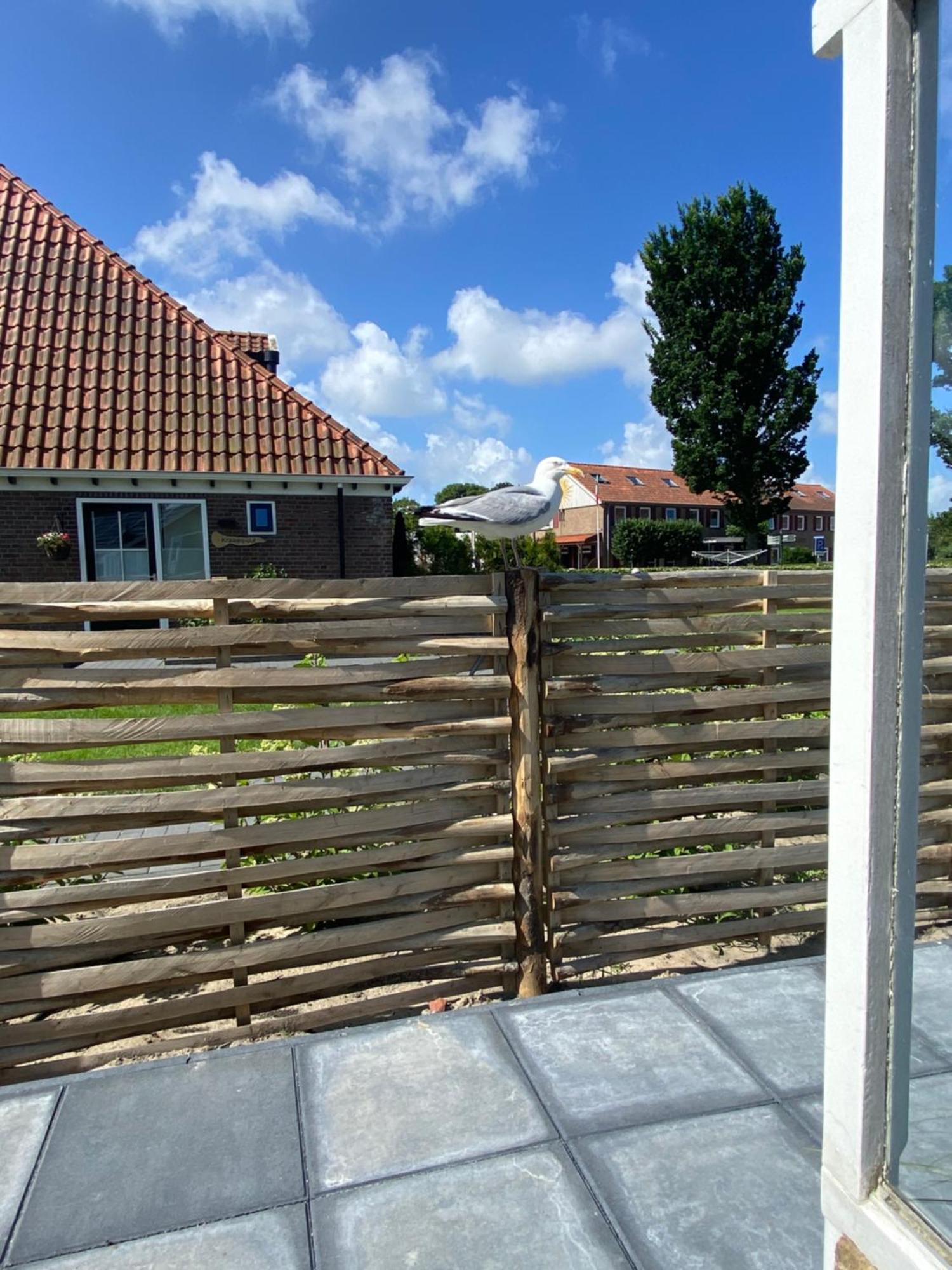 'T Hok Villa Hollum  Exterior photo